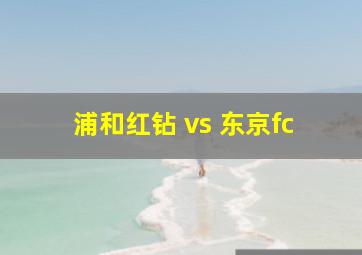 浦和红钻 vs 东京fc